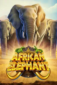 African Elephant